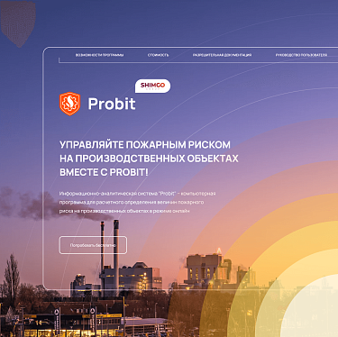 Разработка информационно-аналитической системы Probit