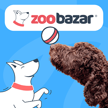 Техподдержка и сопровождение интернет-магазина Zoobazar 