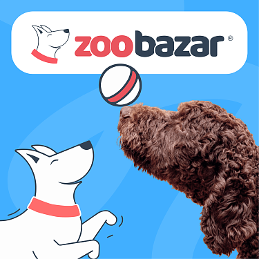 Техподдержка и сопровождение интернет-магазина Zoobazar 