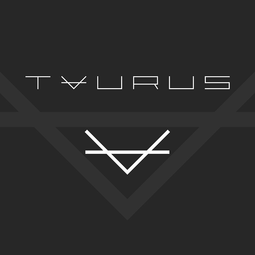 Разработка корпоративного сайта для группы компаний Taurus