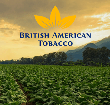 Разработка CRM системы для British American Tobacco
